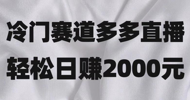 冷门赛道拼多多直播，简单念稿子，日收益2000＋【揭秘】-网创资源
