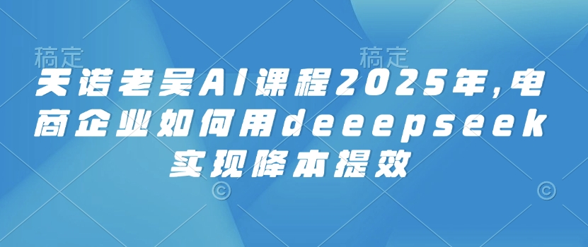 天诺老吴AI课程2025年，电商企业如何用deeepseek实现降本提效-网创资源