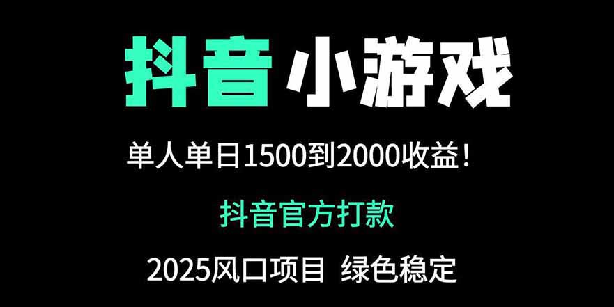 抖音官方小游戏2025全网最新玩法，暴利赚钱项目，单机日入2000+-网创资源