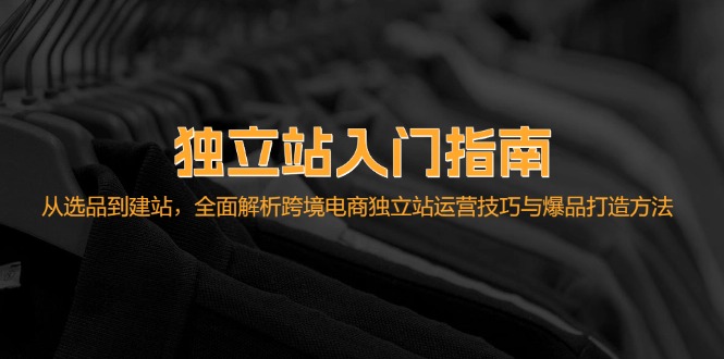 独立站入门指南：从选品到建站，全面解析跨境电商独立站运营技巧与爆品…-网创资源