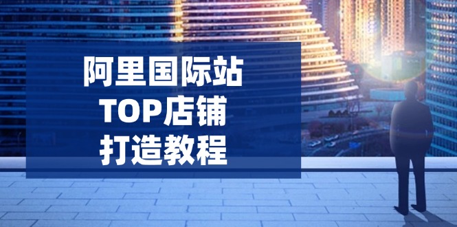 阿里国际站TOP店铺打造教程：涵盖平台到高阶，解决运营难题，提升询盘-网创资源