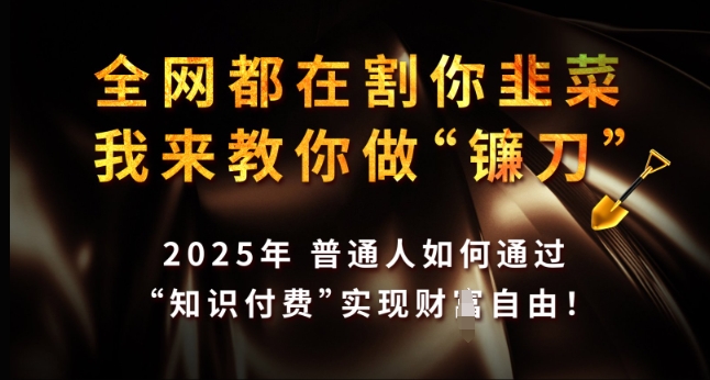 全网都在割你韭菜，我来教你做镰刀，2025年普通人如何通过 知识付费 实现财F自由【揭秘】-网创资源