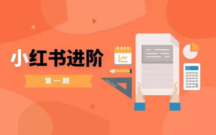 小红书进阶篇，零基础小白实战课，普通人变现的课程-网创资源