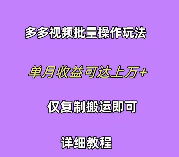 (10029期)拼多多视频带货快速过爆款选品教程 每天轻轻松松赚取三位数佣金 小白必…-网创资源