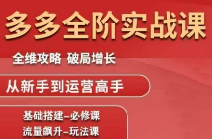 大炮·拼多多全阶实战课程(更新2026)-网创资源