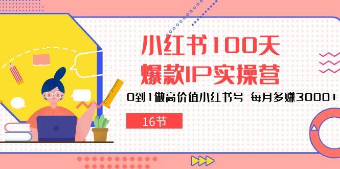 小红书100天-爆款IP实操营，0到1做高价值小红书号 每月多赚3000+(16节-网创资源