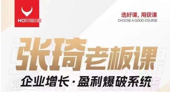 【组合课】张琦张琦老板企业增长·盈利爆破系统（直播专享）-网创资源