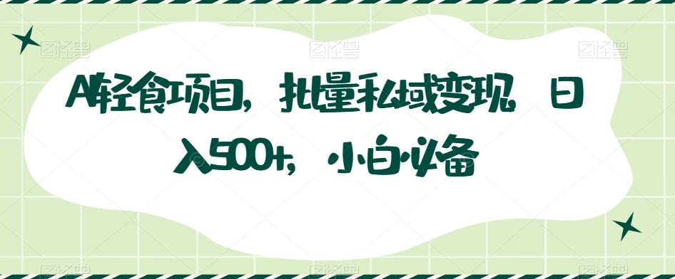 AI轻食项目，批量私域变现，日入500+，小白必备-网创资源