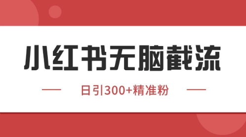 小红书只要你有同行就能获客，独家野路子获客玩法，暴力截流【揭秘】-网创资源