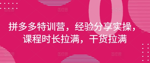 拼多多特训营，经验分享实操，课程时长拉满，干货拉满(更新25年4月)-网创资源