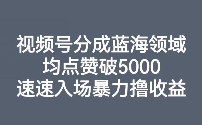 视频号分成蓝海领域，均点赞破5000，速速入场暴力撸收益-网创资源