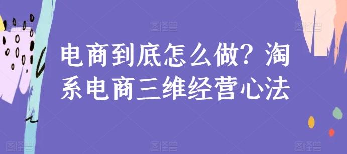 电商到底怎么做？淘系电商三维经营心法-网创资源