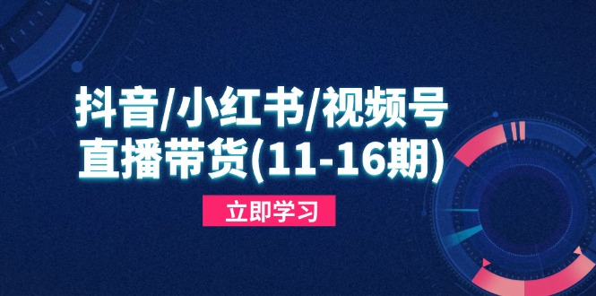抖音/小红书/视频号/直播带货(11-16期-网创资源