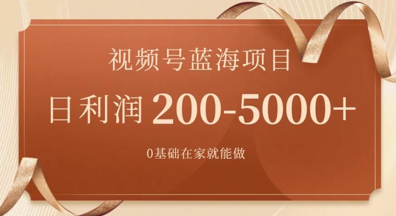 外边收费699视频号项目，最新玩法，简单好操作，一人可做，日四位数-网创资源