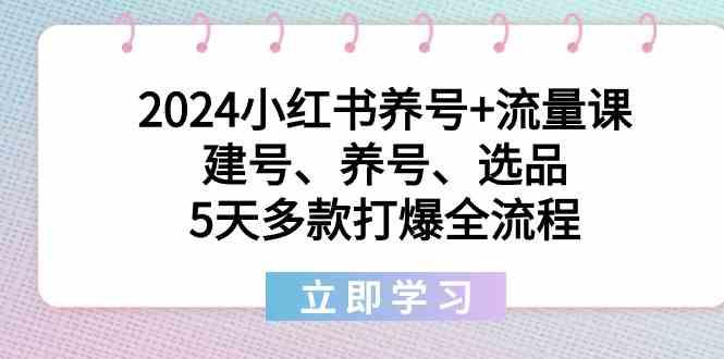 2024小红书养号+流量课:建号、养号、选品,5天多款打爆全流程-网创资源