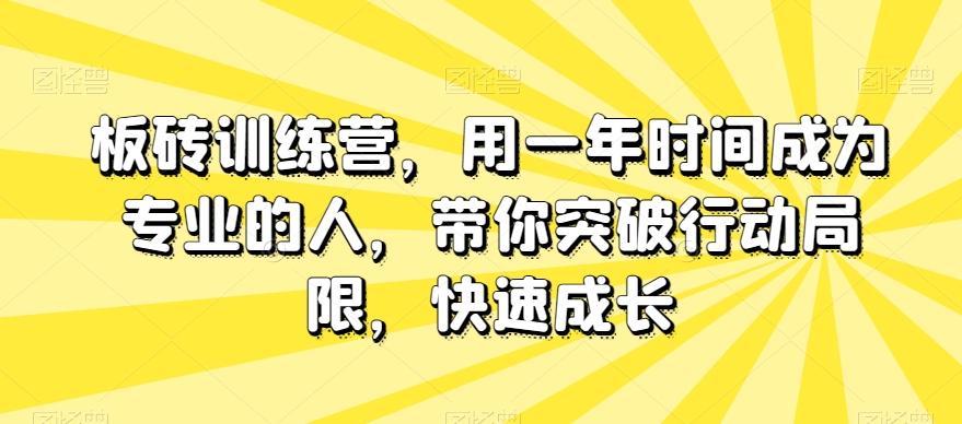 板砖训练营，用一年时间成为专业的人，带你突破行动局限，快速成长-网创资源