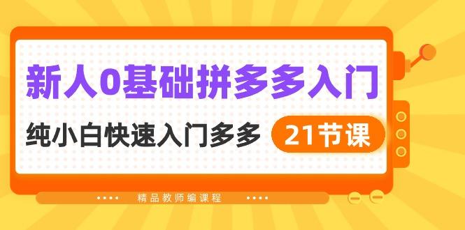 新人0基础拼多多入门，​纯小白快速入门多多(21节课-网创资源
