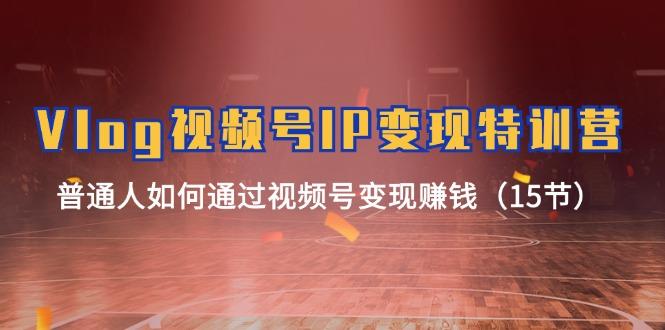 Vlog 视频号IP变现特训营，普通人如何通过视频号变现赚钱(15节-网创资源