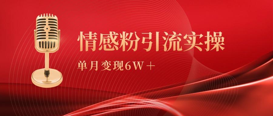 (9473期)单月变现6w+，情感粉引流变现实操课-网创资源
