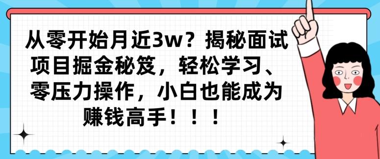 从零开始月近3w？揭秘面试项目掘金秘笈，轻松学习、零压力操作，小白也能成为赚钱高手-网创资源