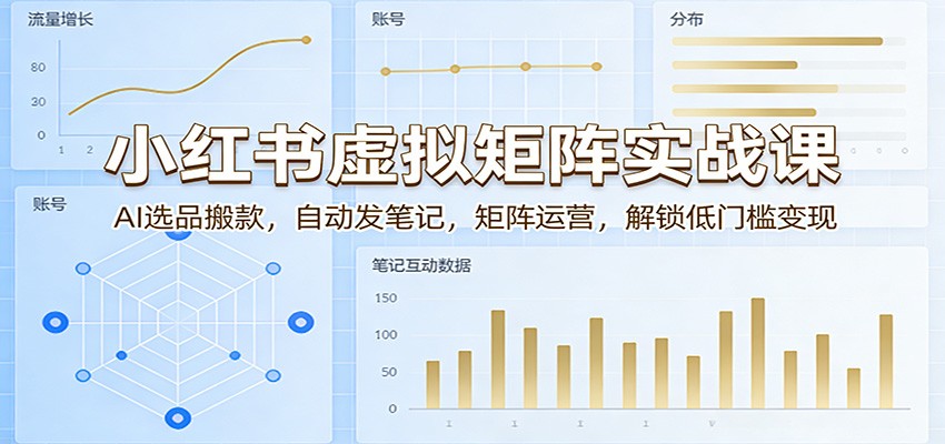 小红书虚拟矩阵实战课：AI选品搬款，自动发笔记，矩阵运营，解锁低门槛变现-网创资源
