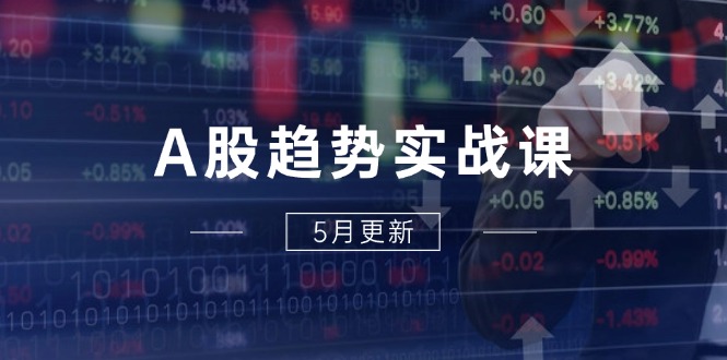 A股趋势实战课：主力动向+政策红利，2025全年策略5月更新-网创资源