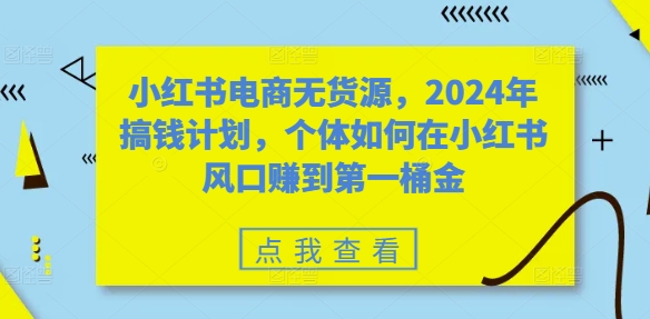 小红书电商无货源，2024年搞钱计划，个体如何在小红书风口赚到第一桶金-网创资源