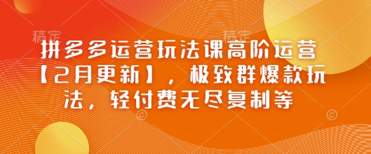 拼多多运营玩法课高阶运营【2月更新】，极致群爆款玩法，轻付费无尽复制等-网创资源
