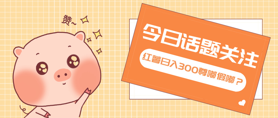 全新红薯浏览，打破常规 双端操作，每天运行6小时，让你获得工作以外的...-网创资源