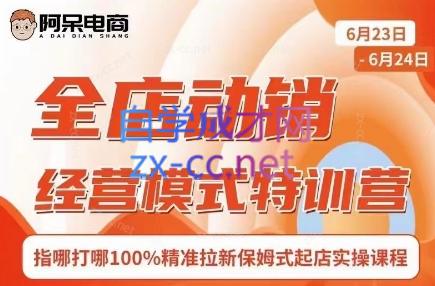 阿呆电商·全店动销经营模式特训营(线下录音+思维导图)-网创资源