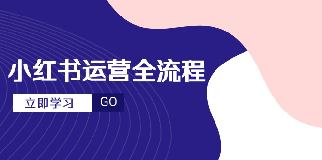 小红书运营全流程，爆款选题文案，视频制作技巧，进阶达人宝典-网创资源