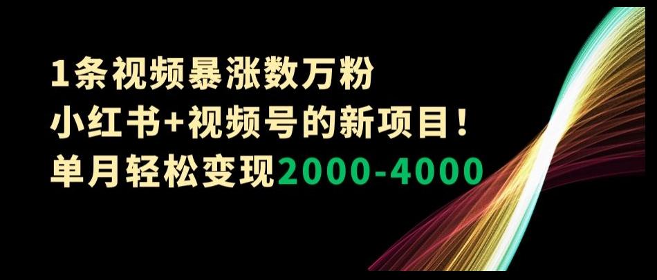 1条视频暴涨数万粉–小红书+视频号的新项目！单月轻松变现2000-4000【揭秘】-网创资源
