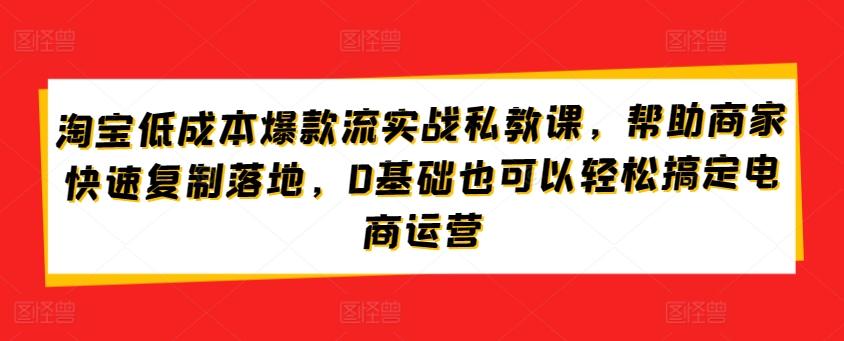淘宝低成本爆款流实战私教课，帮助商家快速复制落地，0基础也可以轻松搞定电商运营-网创资源