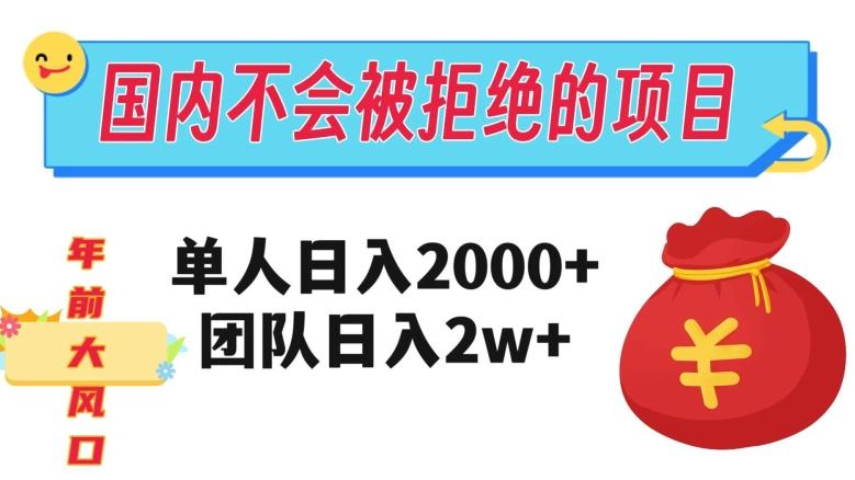 在国内不怕被拒绝的项目，单人日入2000，团队日入20000+【揭秘】-网创资源