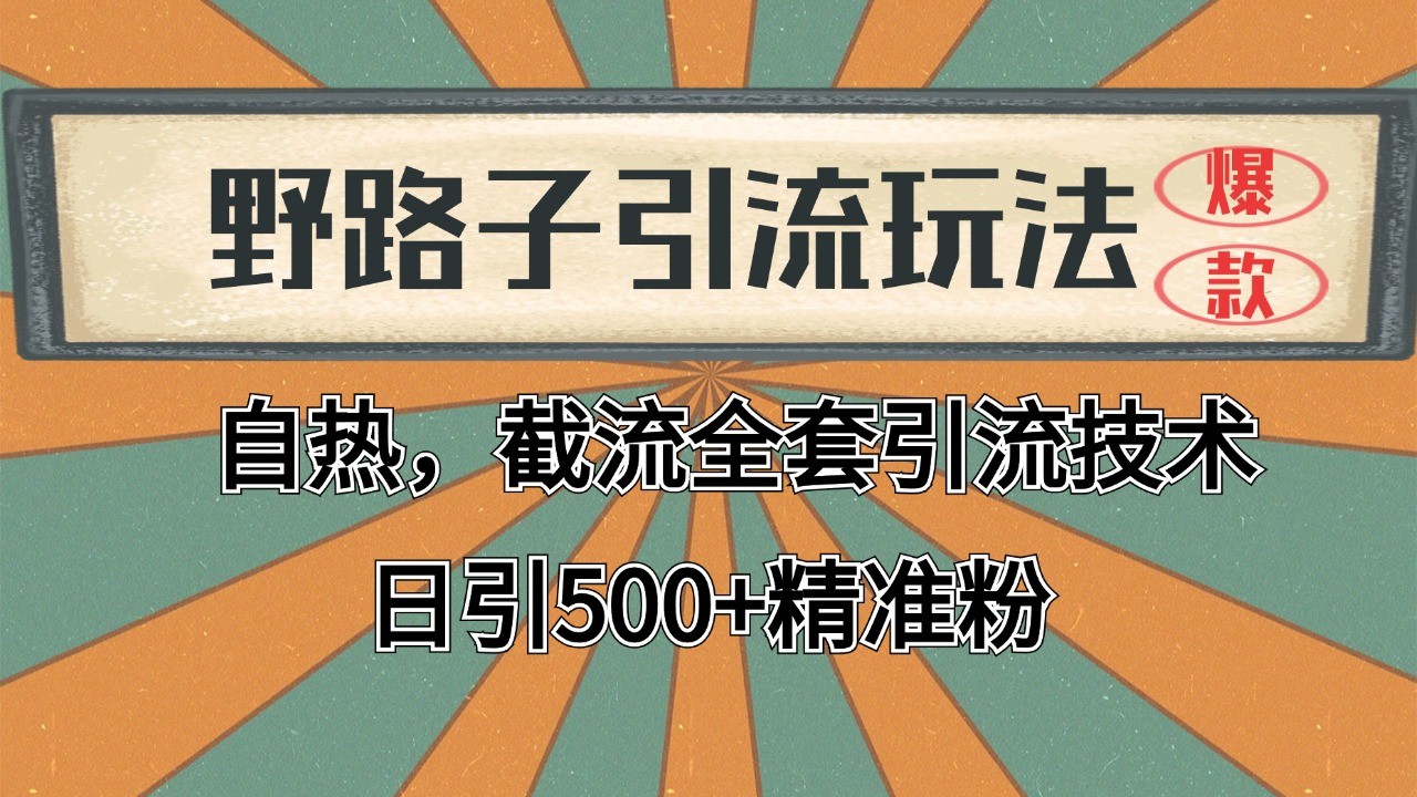 抖音小红书视频号全平台引流打法，全自动引流日引2000+精准客户-网创资源