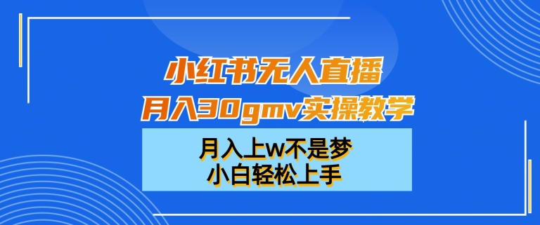 小红书无人直播月入30gmv实操教学，月入上w不是梦，小白轻松上手【揭秘】-网创资源
