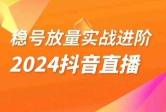 稳号放量实战进阶—2024抖音直播，直播间精细化运营的几大步骤-网创资源