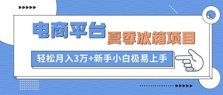 电商平台夏季冰箱项目，轻松月入3万+，新手小白极易上手-网创资源