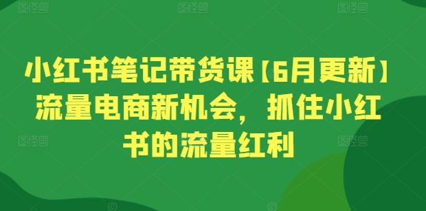 小红书笔记带货课【6月更新】流量电商新机会，抓住小红书的流量红利-网创资源
