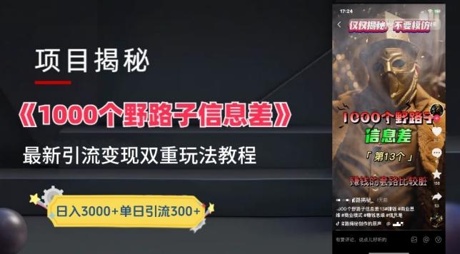 一千个野路子信息差最新玩法教程-变现+引流的玩法具体拆解【揭秘】-网创资源