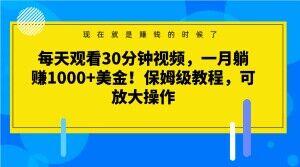 每天观看30分钟视频，一月躺赚1000+美金！保姆级教程，可放大操作【揭秘】-网创资源