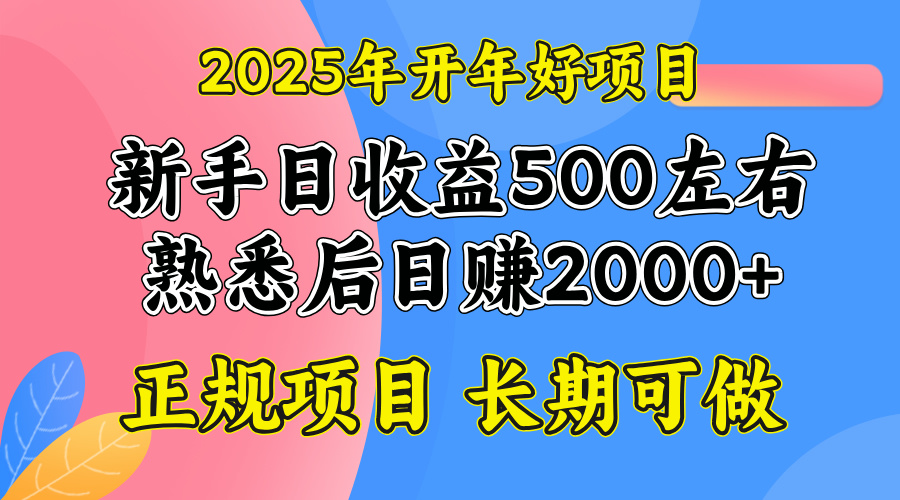 2025开年好项目，单号日收益2000左右-网创资源