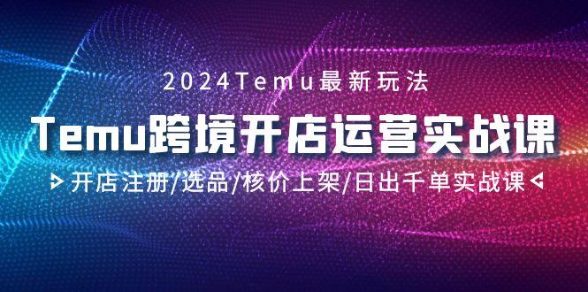 2024Temu跨境开店运营实战课，开店注册/选品/核价上架/日出千单实战课-网创资源