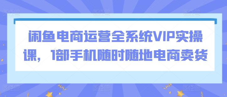 闲鱼电商运营全系统VIP实操课，1部手机随时随地电商卖货-网创资源