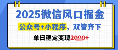 2025微信风口掘金，公众号+小程序双管齐下，单日稳定变现1k+【揭秘】-网创资源