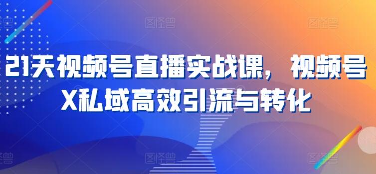 21天视频号直播实战课，视频号X私域高效引流与转化-网创资源