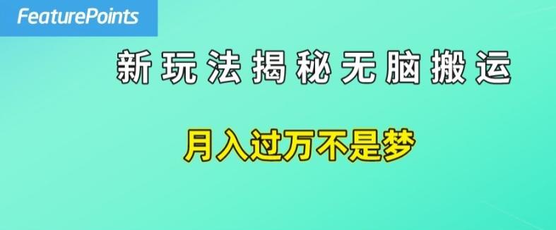 简单操作，每天50美元收入，搬运就是赚钱的秘诀【揭秘】-网创资源