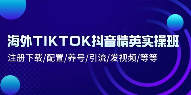 海外TIKTOK抖音精英实操班：注册下载/配置/养号/引流/发视频/等等-网创资源