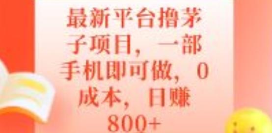 最新平台撸茅子项目，一部手机即可做，0成本，日赚800+-网创资源