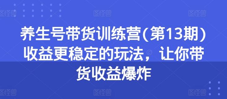 养生号带货训练营(第13期)收益更稳定的玩法，让你带货收益爆炸-网创资源